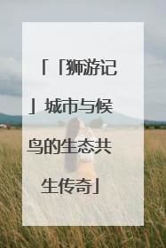 「狮游记」城市与候鸟的生态共生传奇