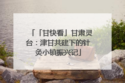 「甘快看」甘肃灵台：津甘共建下的针灸小镇振兴记
