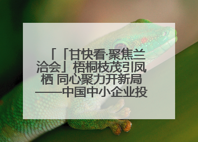 「甘快看·聚焦兰洽会」梧桐枝茂引凤栖 同心聚力开新局——中国中小企业投资洽谈会侧记