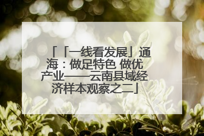 「一线看发展」通海：做足特色 做优产业——云南县域经济样本观察之二