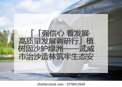 「强信心 看发展·高质量发展调研行」植树固沙护绿洲——武威市治沙造林筑牢生态安全屏障见闻
