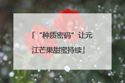 “种质密码”让元江芒果甜蜜持续
