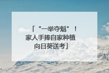 “一举夺魁”！家人手捧自家种植向日葵送考