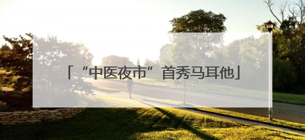 “中医夜市”首秀马耳他