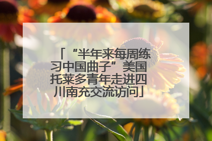 “半年来每周练习中国曲子”美国托莱多青年走进四川南充交流访问