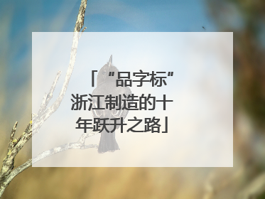 “品字标”浙江制造的十年跃升之路