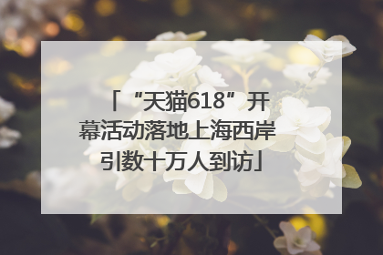 “天猫618”开幕活动落地上海西岸 引数十万人到访