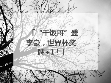 “干饭哥”盛李豪，世界杯奖牌+1！