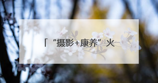 “摄影+康养”火热“出圈” 多业态串联成线激发“银发一族”深度游潜力
