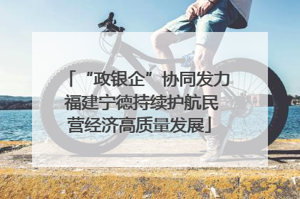 “政银企”协同发力 福建宁德持续护航民营经济高质量发展
