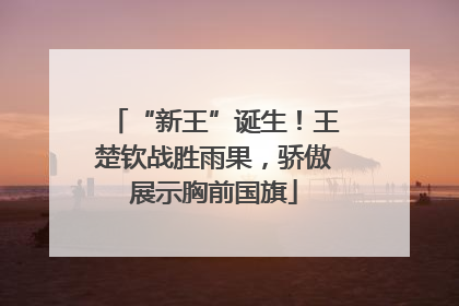 “新王”诞生！王楚钦战胜雨果，骄傲展示胸前国旗