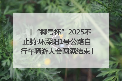 “椰号杯”2025不止骑·环溧阳1号公路自行车骑游大会圆满结束