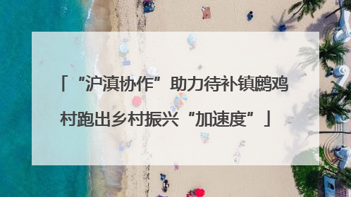 “沪滇协作”助力待补镇鹧鸡村跑出乡村振兴“加速度”