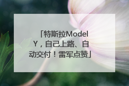 特斯拉Model Y，自己上路、自动交付！雷军点赞