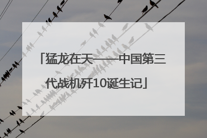 猛龙在天——中国第三代战机歼10诞生记