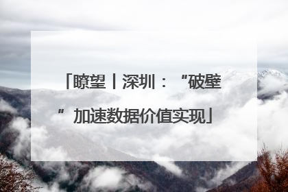 瞭望丨深圳：“破壁”加速数据价值实现