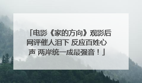 电影《家的方向》观影后网评催人泪下 反应百姓心声 两岸统一成最强音！