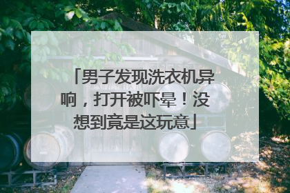 男子发现洗衣机异响，打开被吓晕！没想到竟是这玩意