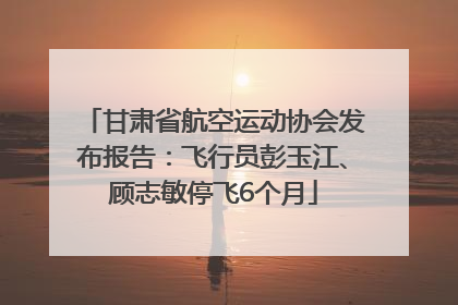 甘肃省航空运动协会发布报告：飞行员彭玉江、顾志敏停飞6个月