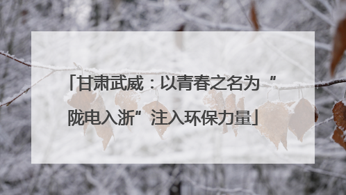 甘肃武威：以青春之名为“陇电入浙”注入环保力量