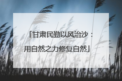 甘肃民勤以风治沙：用自然之力修复自然
