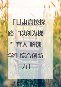 甘肃高校探路“以创为梯”育人 解锁学生综合创新力