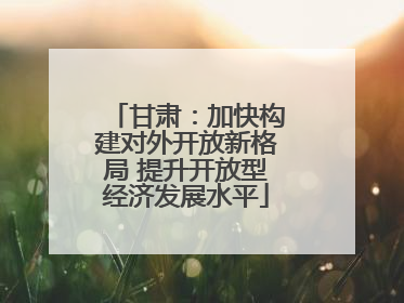 甘肃：加快构建对外开放新格局 提升开放型经济发展水平