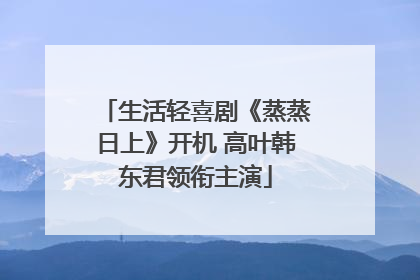 生活轻喜剧《蒸蒸日上》开机 高叶韩东君领衔主演
