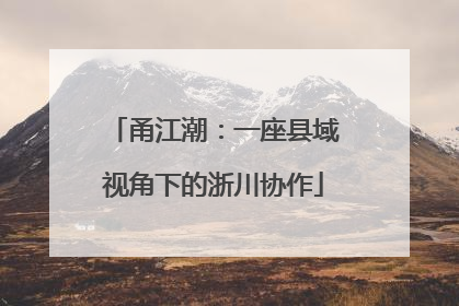 甬江潮：一座县域视角下的浙川协作