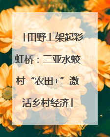 田野上架起彩虹桥：三亚水蛟村“农田+”激活乡村经济