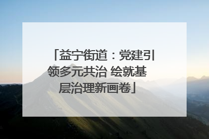 益宁街道：党建引领多元共治 绘就基层治理新画卷