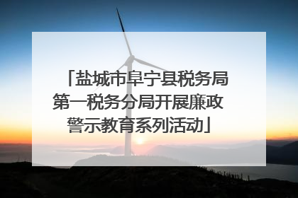 盐城市阜宁县税务局第一税务分局开展廉政警示教育系列活动