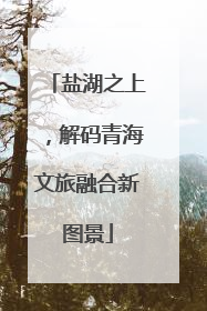 盐湖之上，解码青海文旅融合新图景