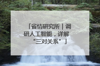 省情研究所｜调研人工智能，详解“三对关系”