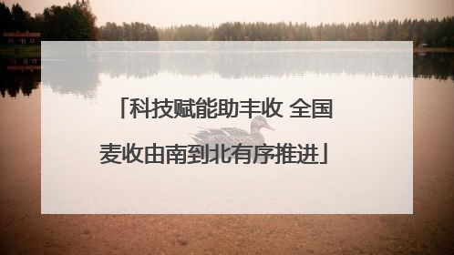 科技赋能助丰收 全国麦收由南到北有序推进