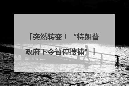 突然转变！“特朗普政府下令暂停搜捕”