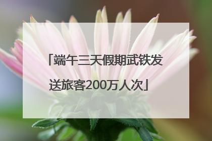 端午三天假期武铁发送旅客200万人次