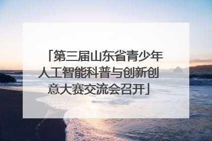 第三届山东省青少年人工智能科普与创新创意大赛交流会召开