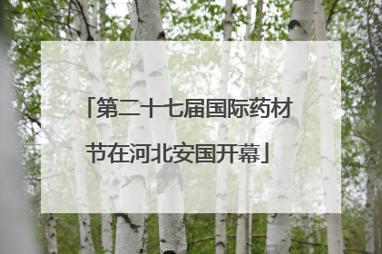 第二十七届国际药材节在河北安国开幕