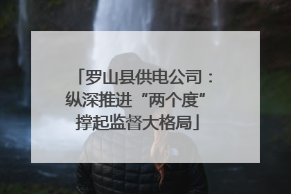 罗山县供电公司：纵深推进“两个度” 撑起监督大格局