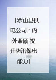 罗山县供电公司：内外兼顾 提升防汛保电能力