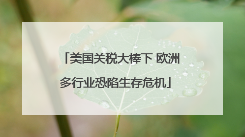 美国关税大棒下 欧洲多行业恐陷生存危机