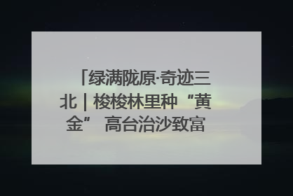 绿满陇原·奇迹三北｜梭梭林里种“黄金” 高台治沙致富很“从容”