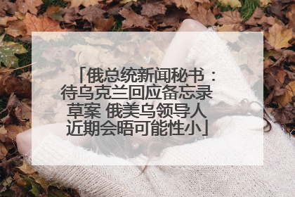 俄总统新闻秘书：待乌克兰回应备忘录草案 俄美乌领导人近期会晤可能性小