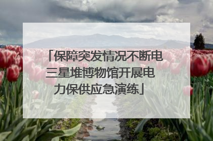 保障突发情况不断电 三星堆博物馆开展电力保供应急演练