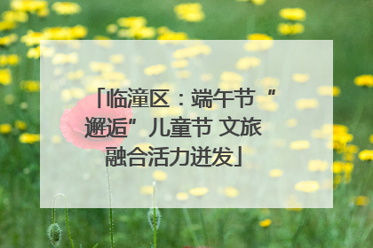临潼区：端午节“邂逅”儿童节 文旅融合活力迸发