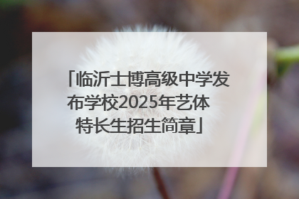临沂士博高级中学发布学校2025年艺体特长生招生简章