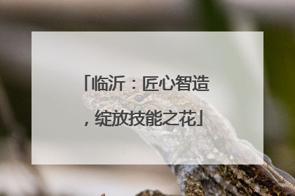 临沂：匠心智造，绽放技能之花