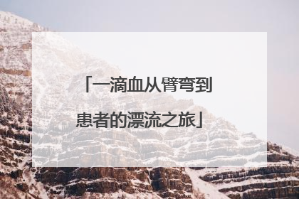 一滴血从臂弯到患者的漂流之旅