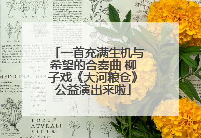 一首充满生机与希望的合奏曲 柳子戏《大河粮仓》公益演出来啦